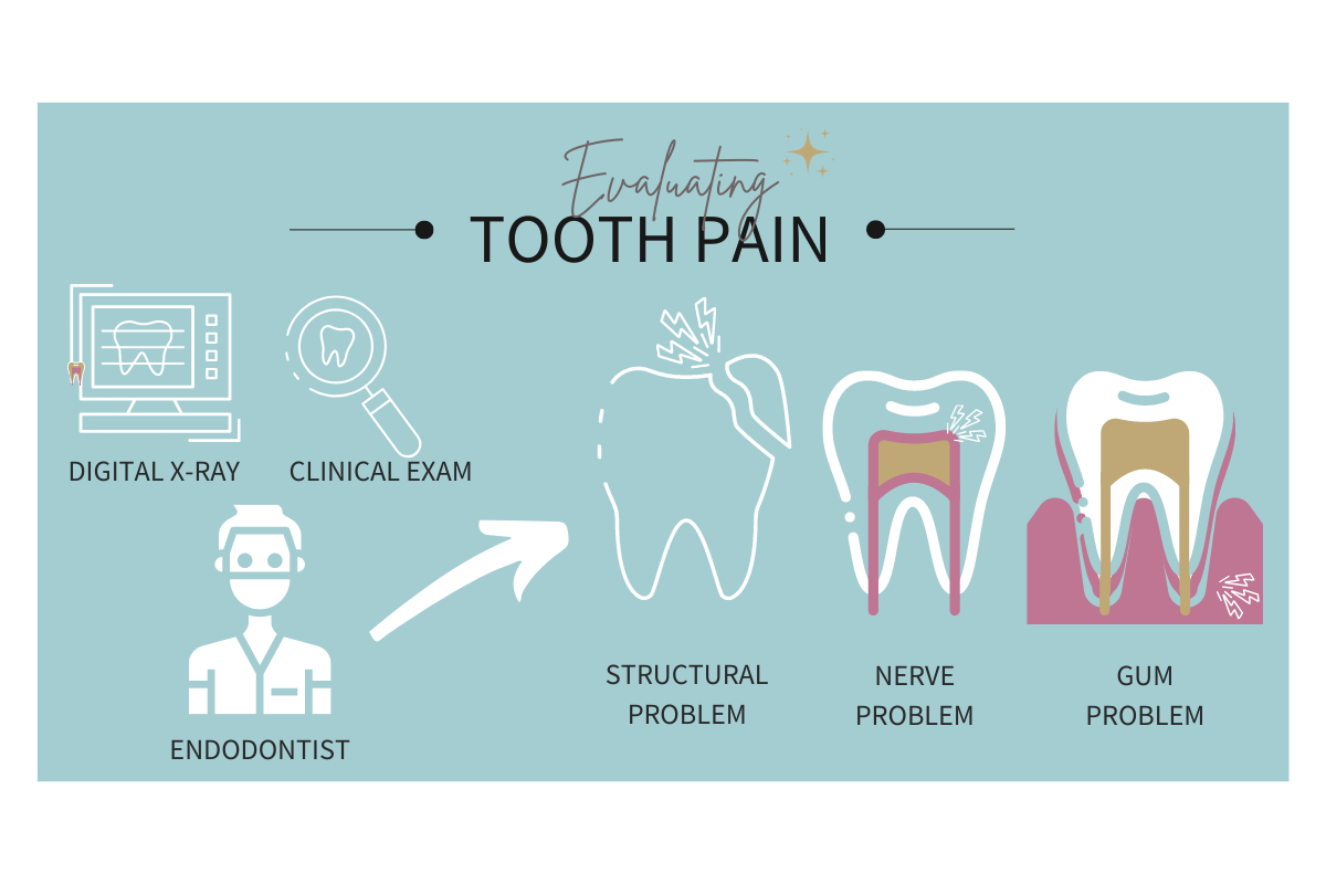 Evaluating Tooth Pain